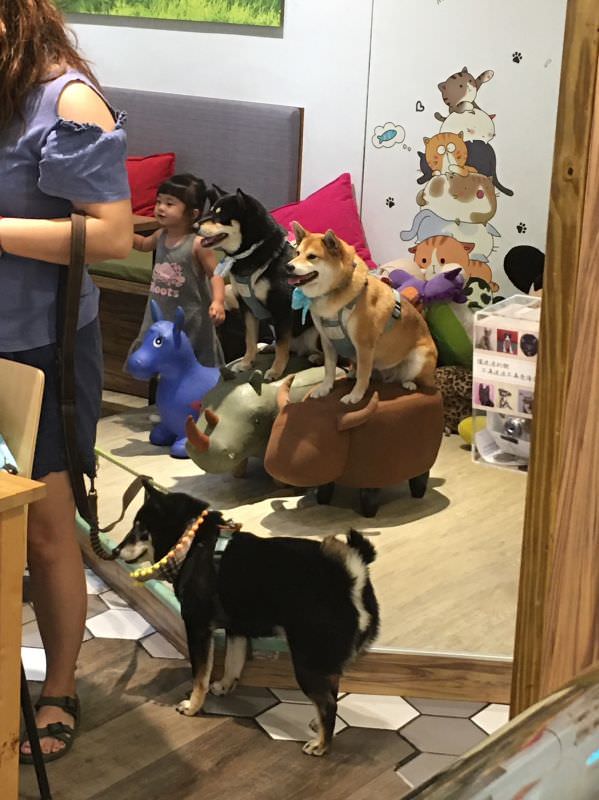 森林小徑健行店對寵物超友善